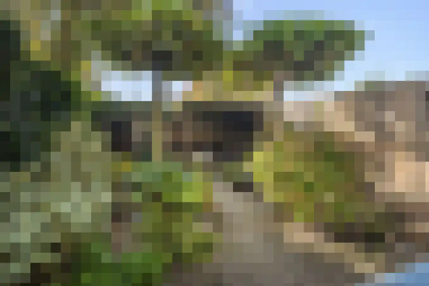 Bark 82 Barendrecht thumbnail 30