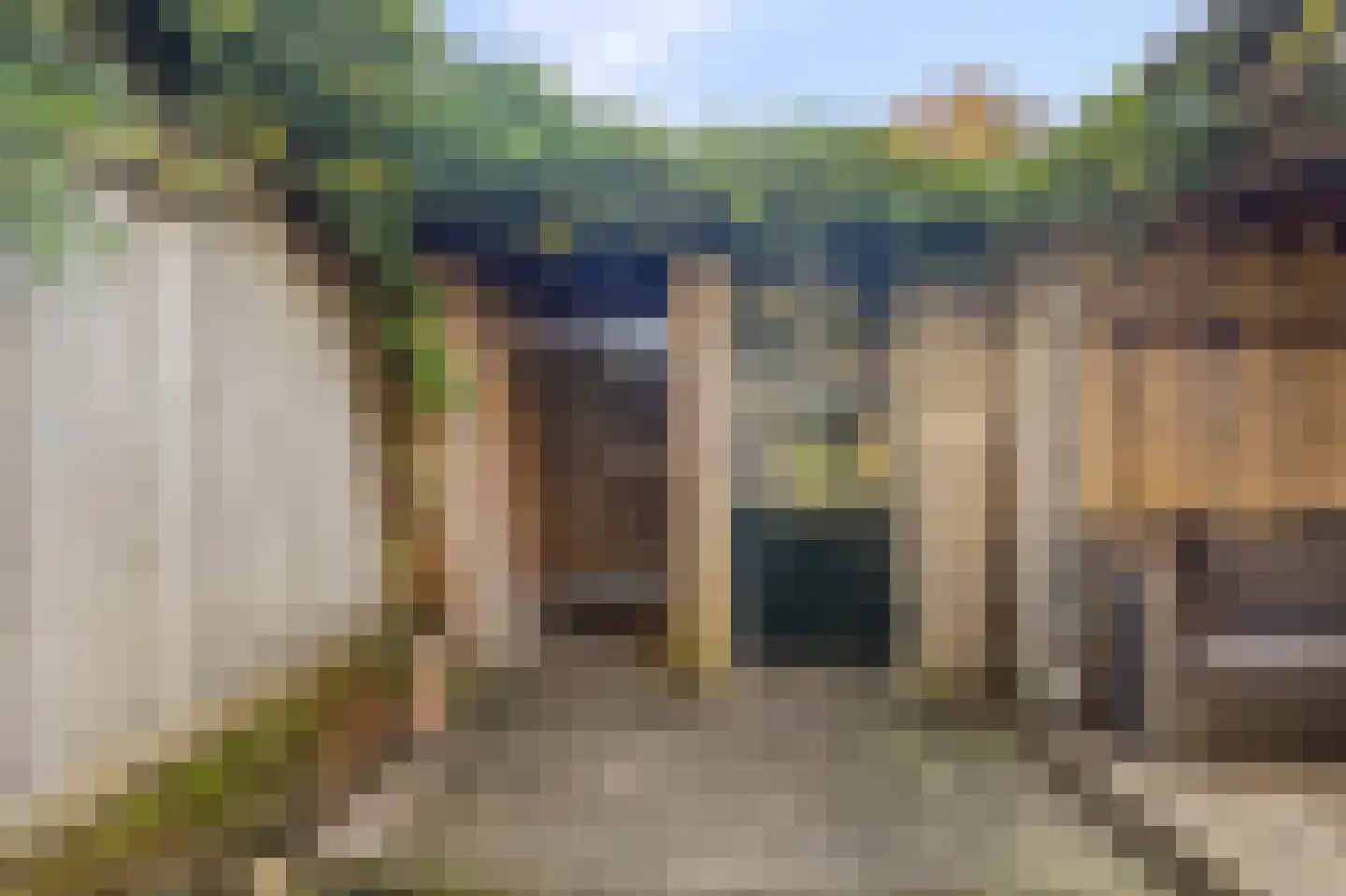 Bark 82 Barendrecht thumbnail 33