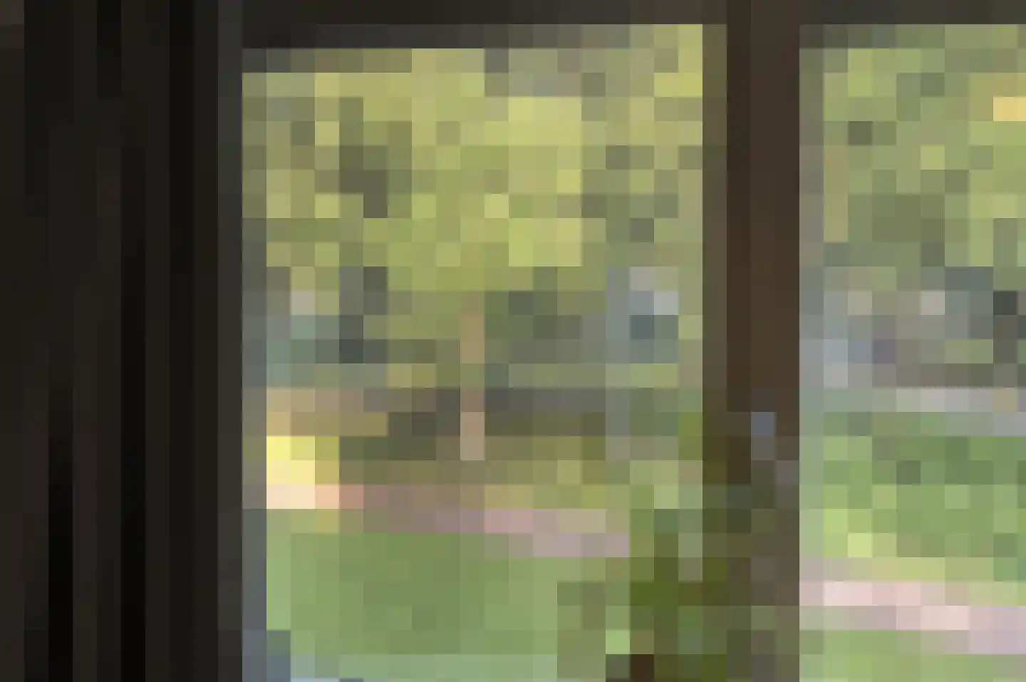 Bark 82 Barendrecht thumbnail 36