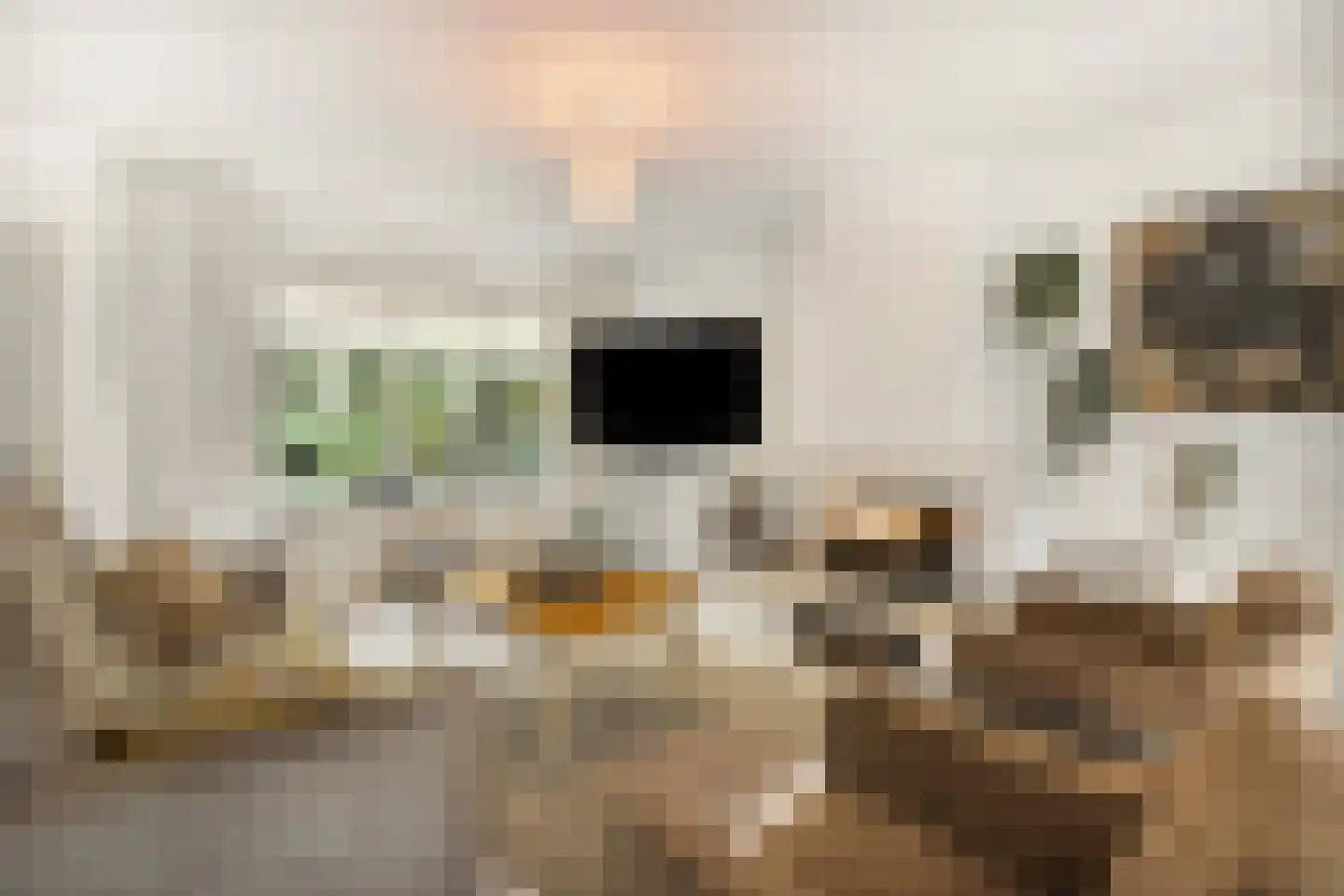 Bark 82 Barendrecht thumbnail 4