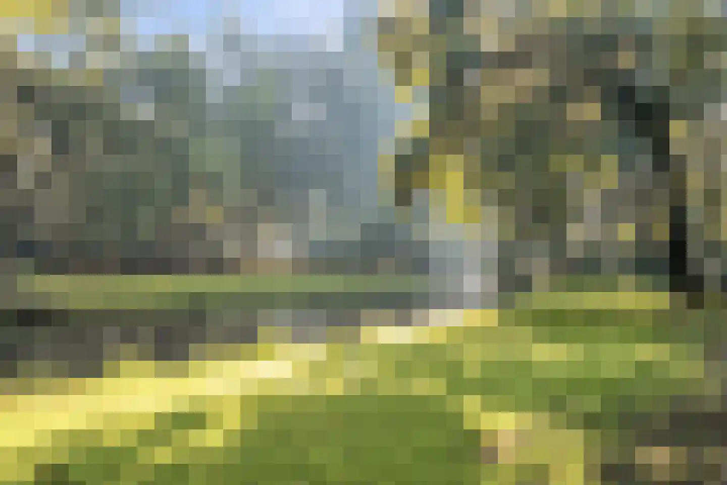 Bark 82 Barendrecht thumbnail 40