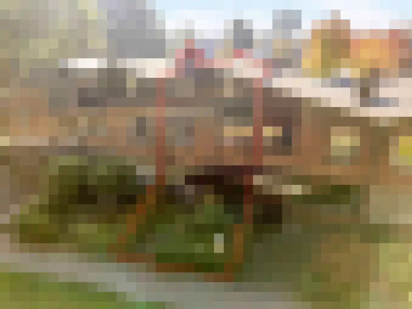 Bark 82 Barendrecht thumbnail 41