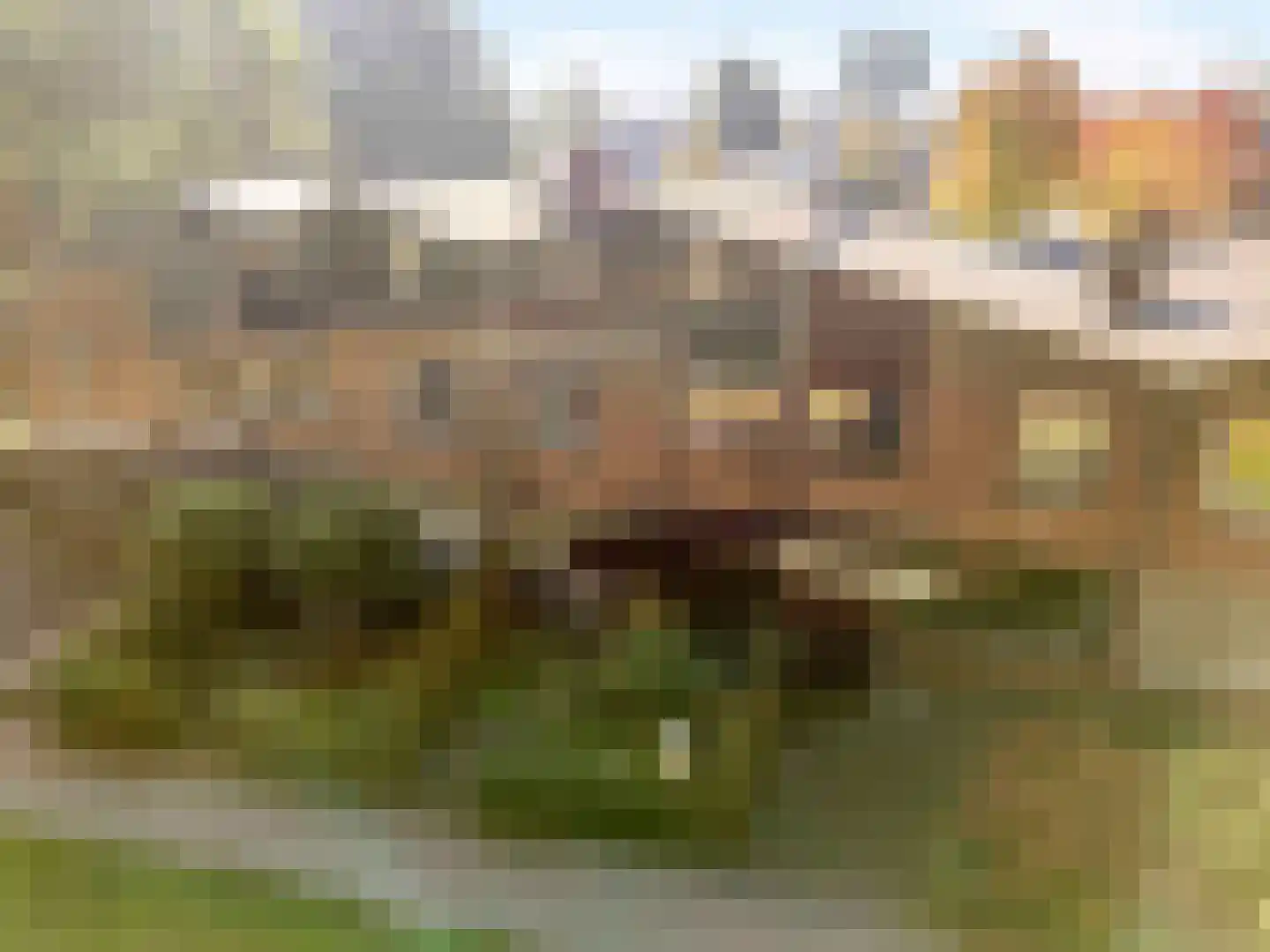 Bark 82 Barendrecht thumbnail 44
