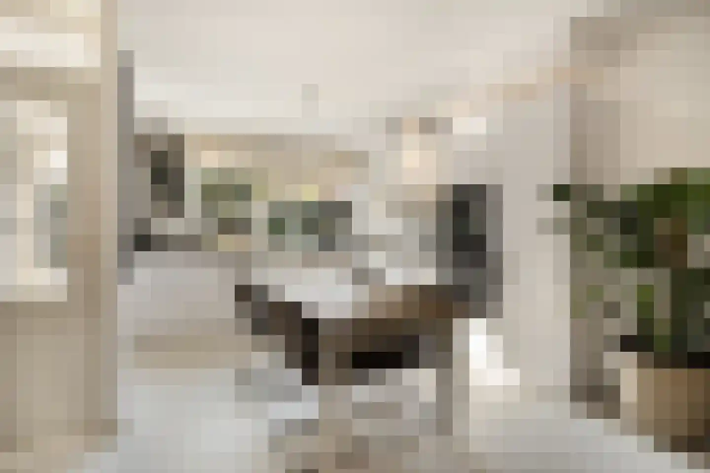 Bark 82 Barendrecht thumbnail 8