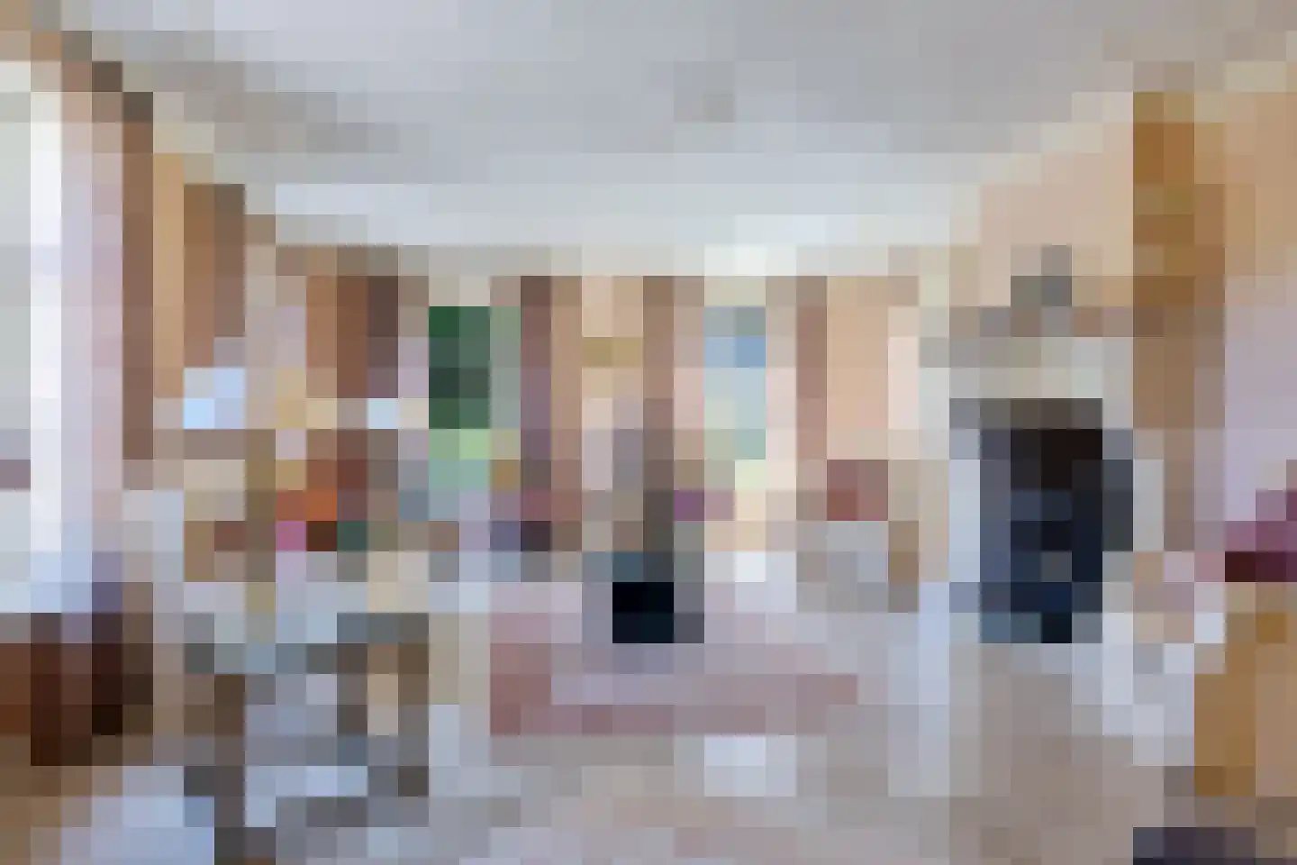 Bark 9 Nieuw-Amsterdam thumbnail 11