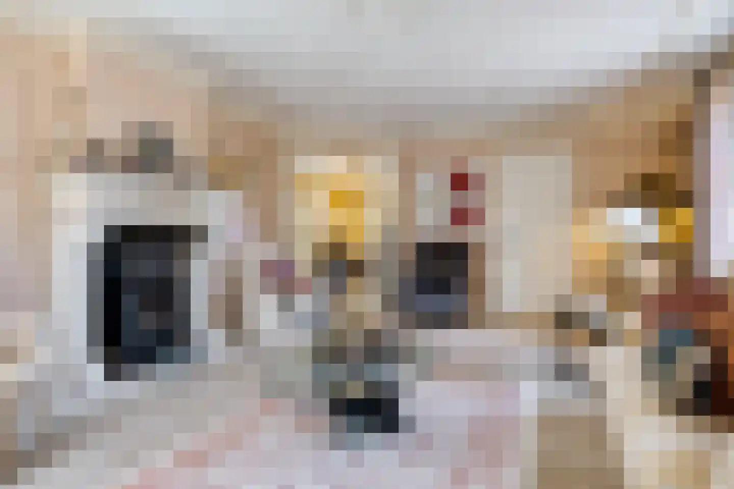 Bark 9 Nieuw-Amsterdam thumbnail 12