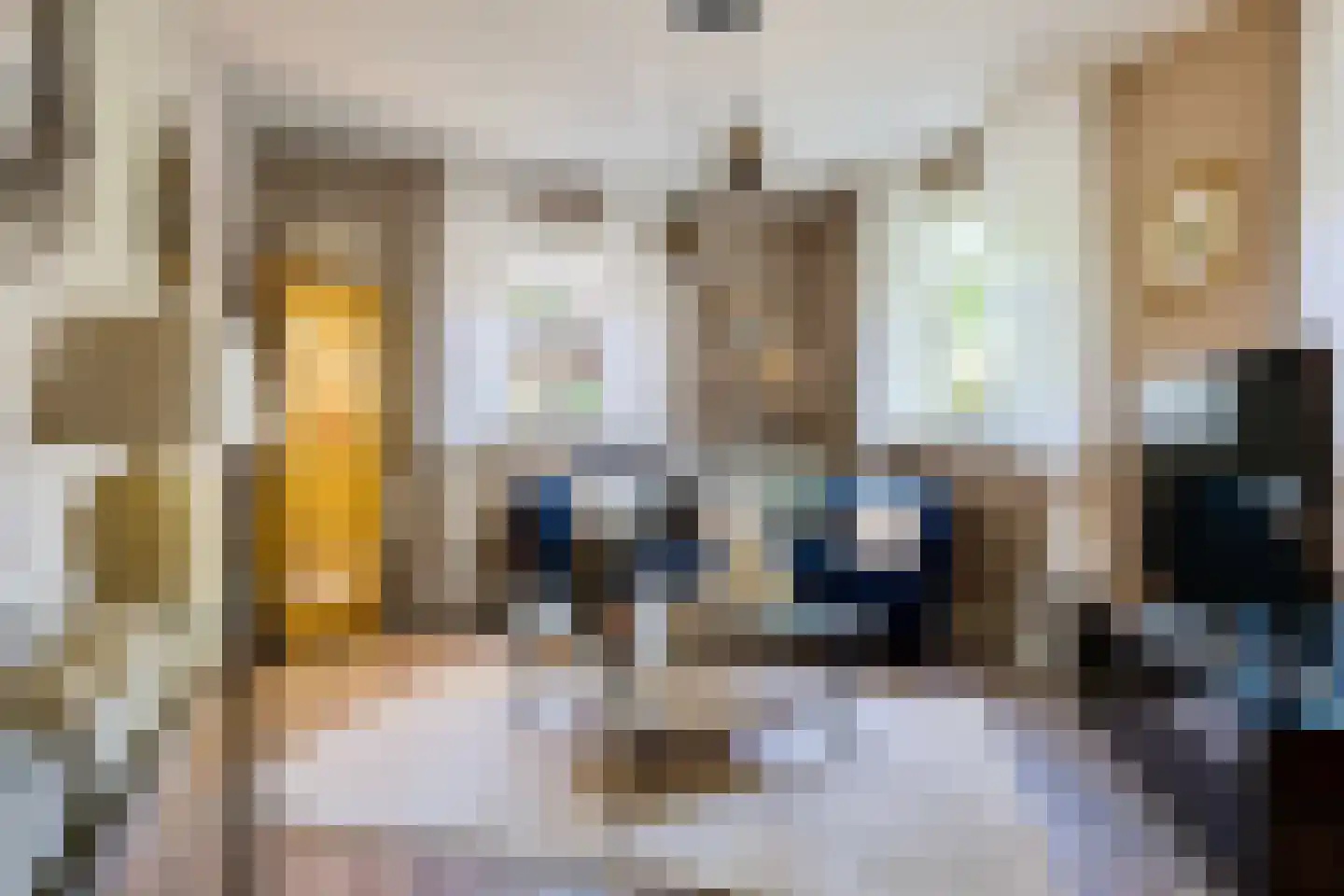Bark 9 Nieuw-Amsterdam thumbnail 17