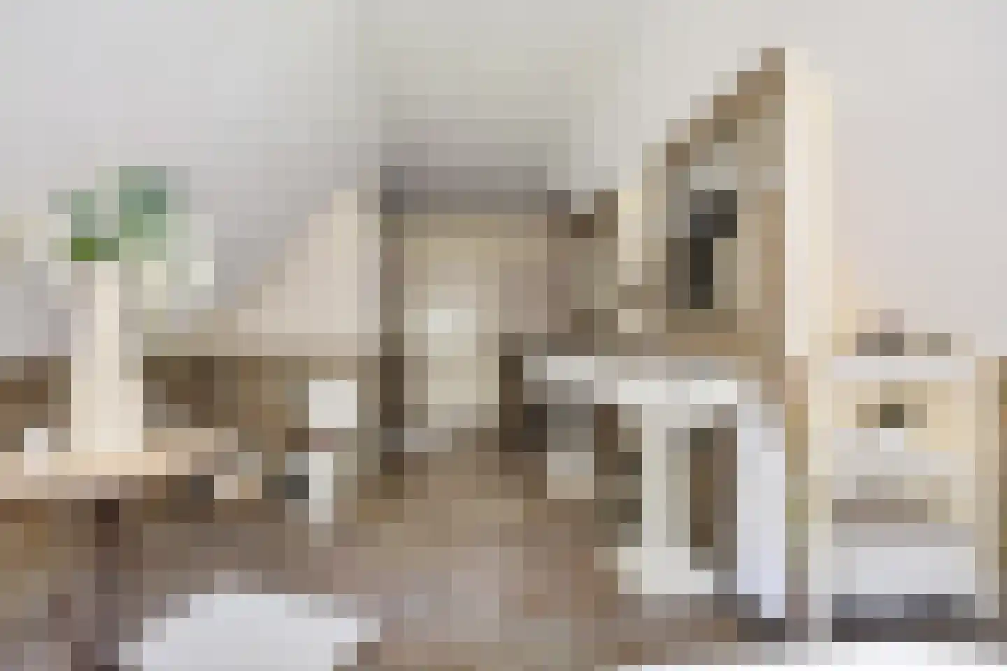 Bark 9 Nieuw-Amsterdam thumbnail 30