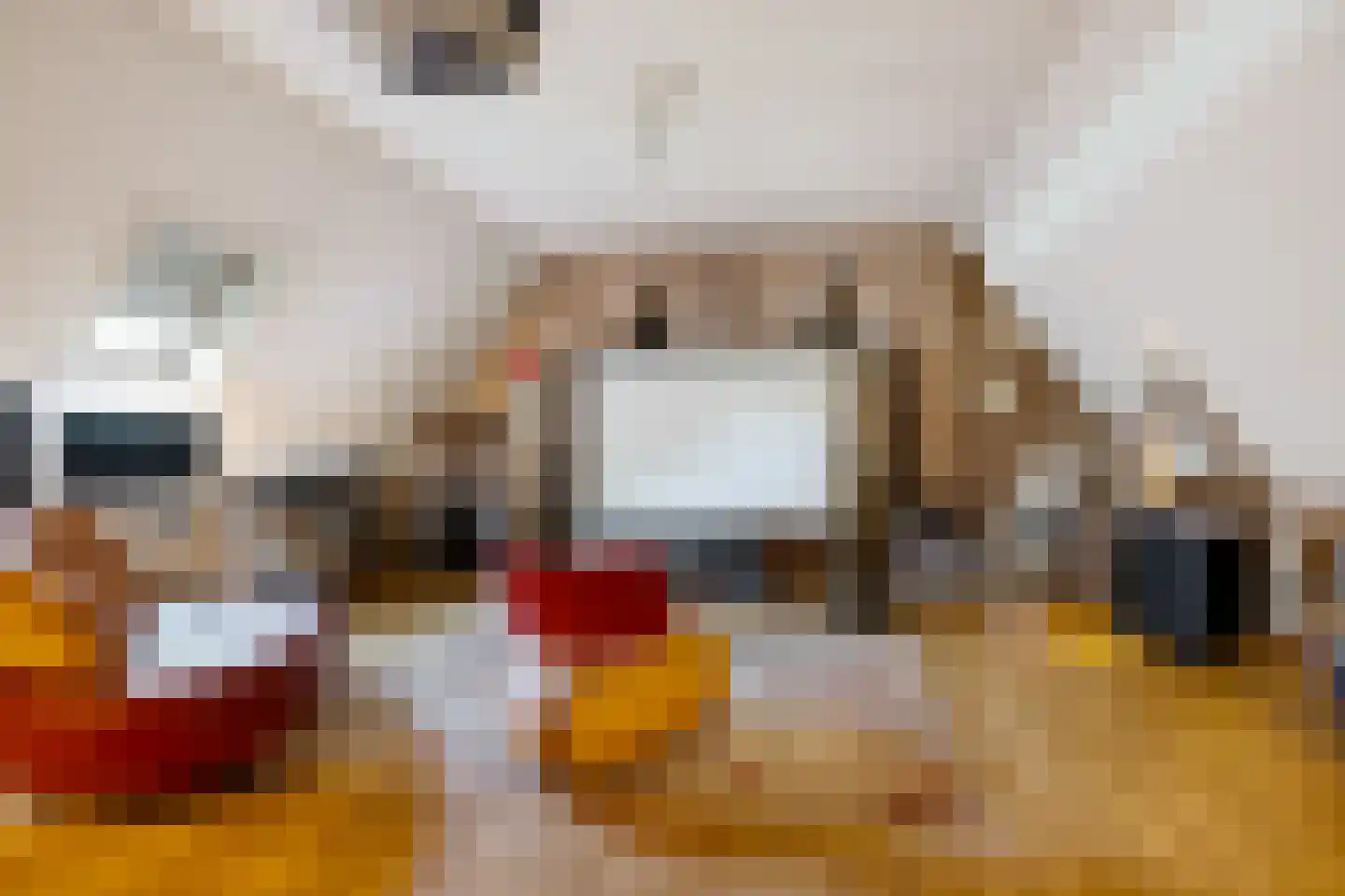 Bark 9 Nieuw-Amsterdam thumbnail 33