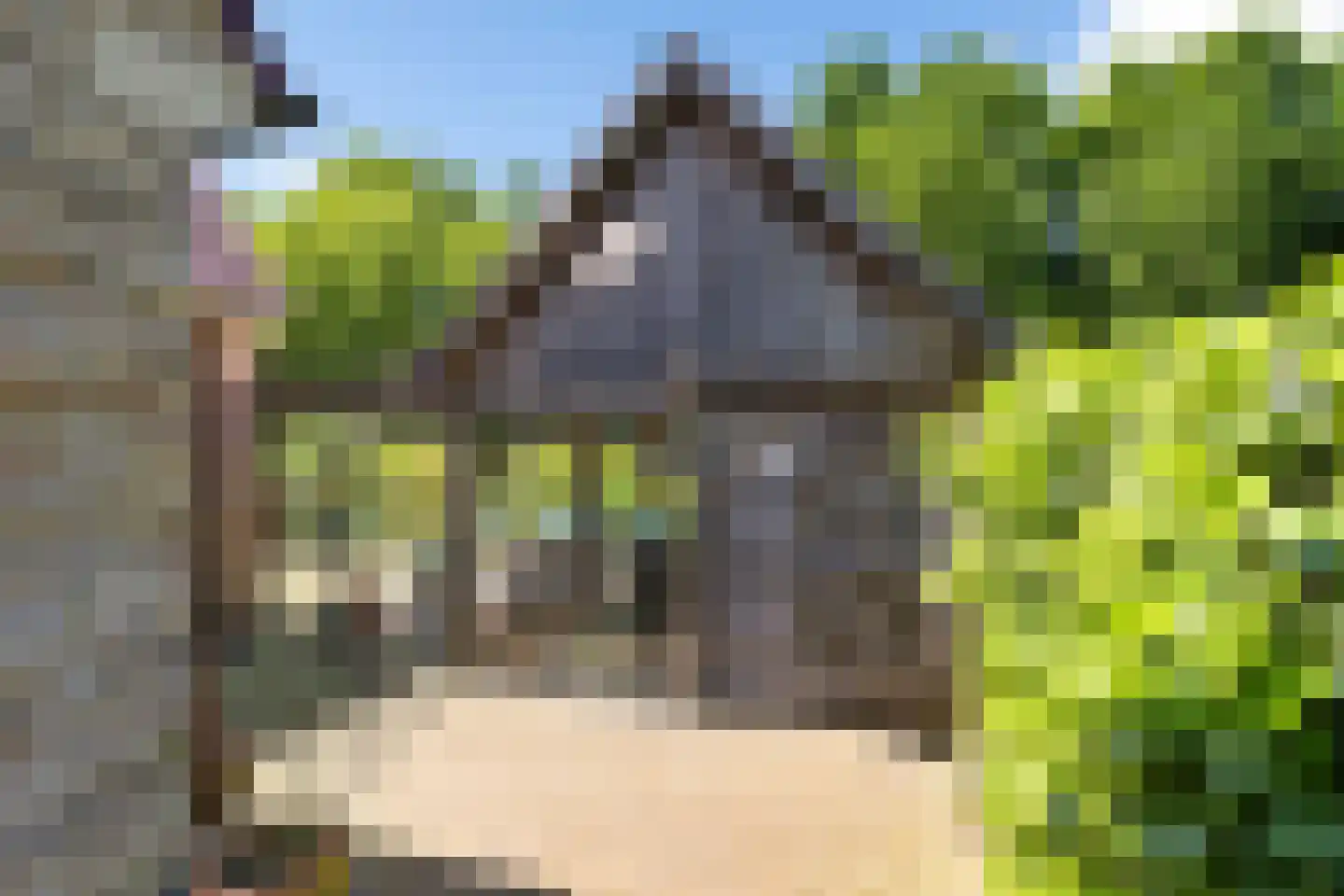 Bark 9 Nieuw-Amsterdam thumbnail 36