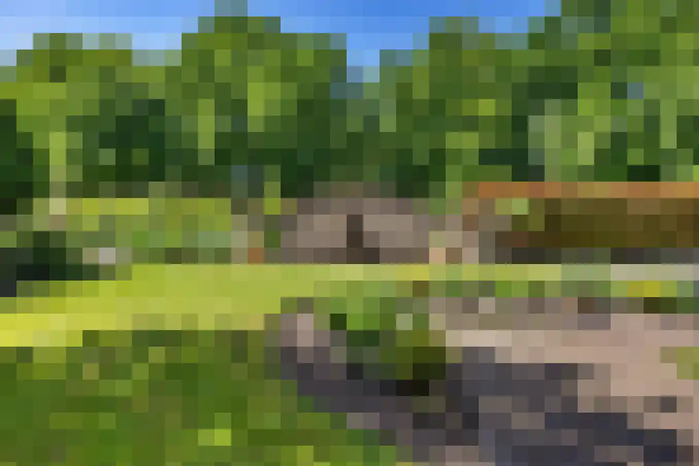 Bark 9 Nieuw-Amsterdam thumbnail 38