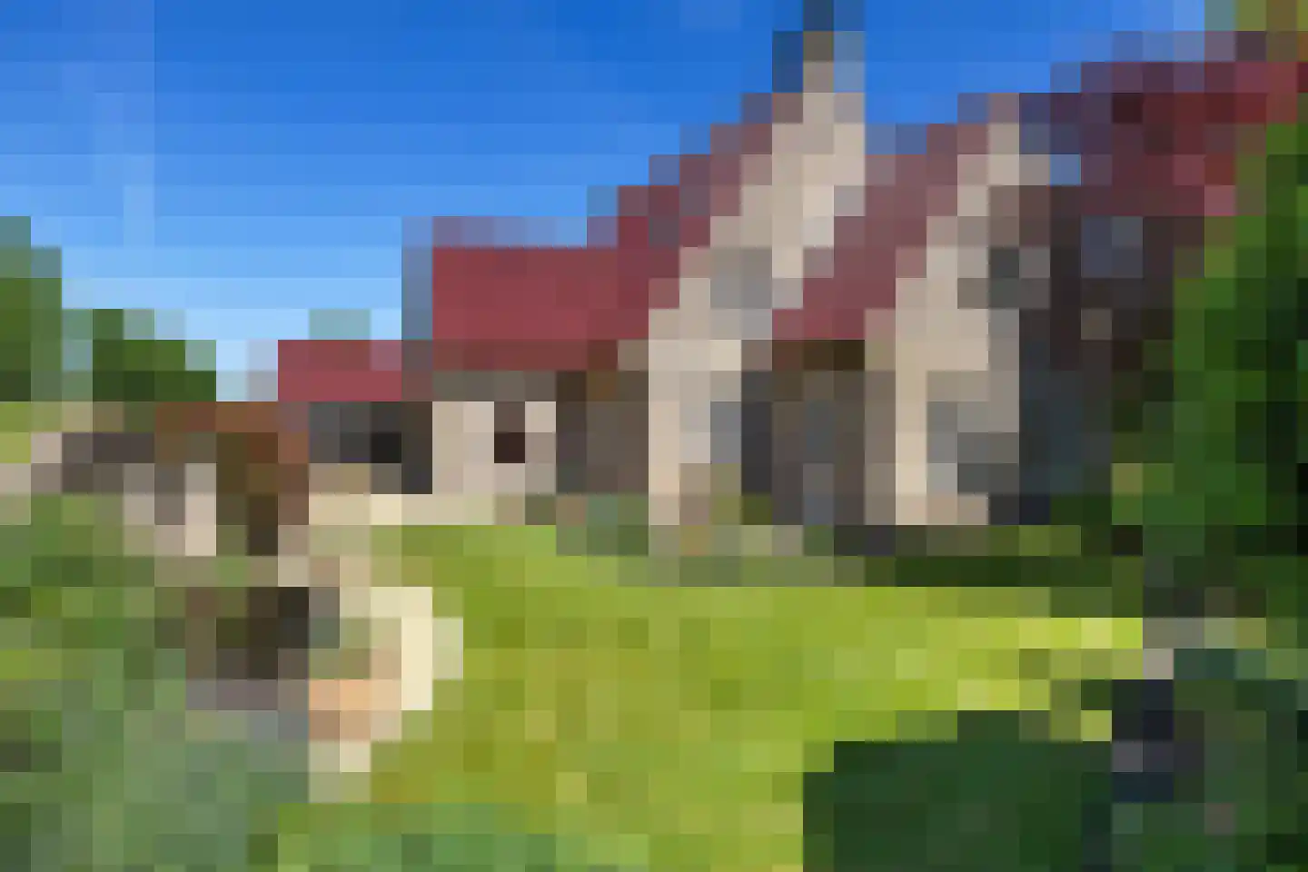 Bark 9 Nieuw-Amsterdam thumbnail 4
