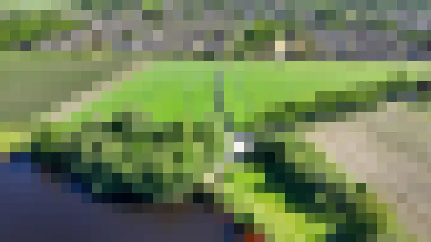 Bark 9 Nieuw-Amsterdam thumbnail 47