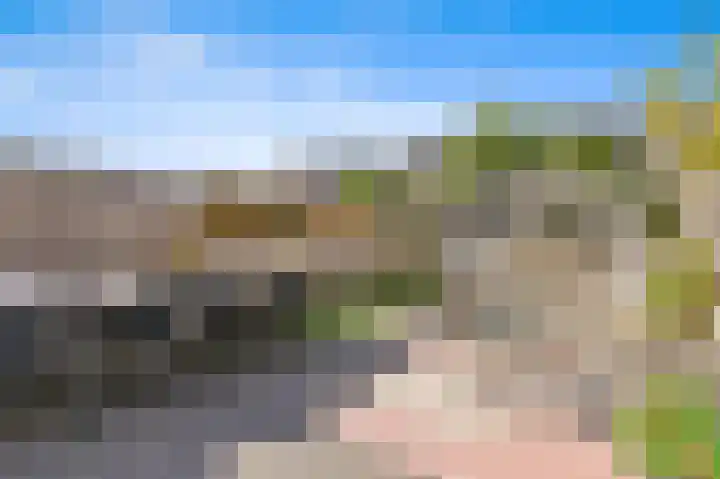 Bark 9 Schipluiden thumbnail 10