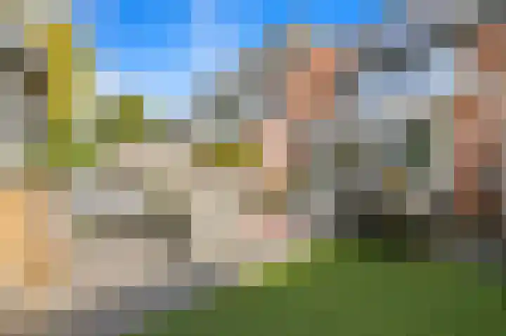 Bark 9 Schipluiden thumbnail 11