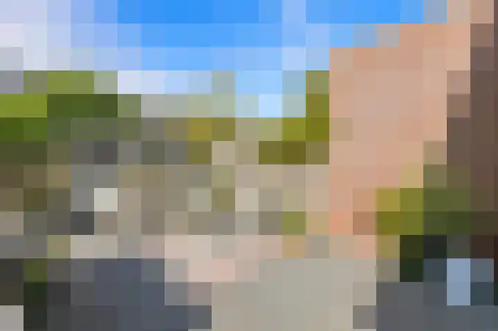 Bark 9 Schipluiden thumbnail 12