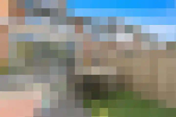 Bark 9 Schipluiden thumbnail 13