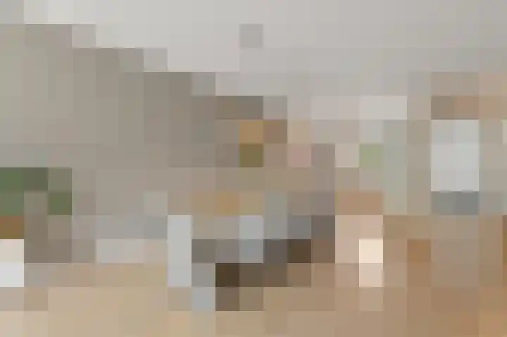 Bark 9 Schipluiden thumbnail 14