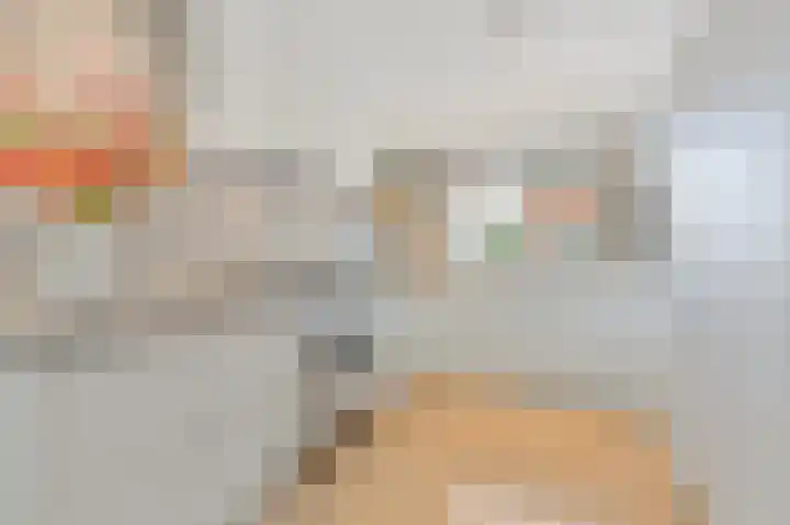 Bark 9 Schipluiden thumbnail 16