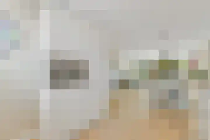 Bark 9 Schipluiden thumbnail 17