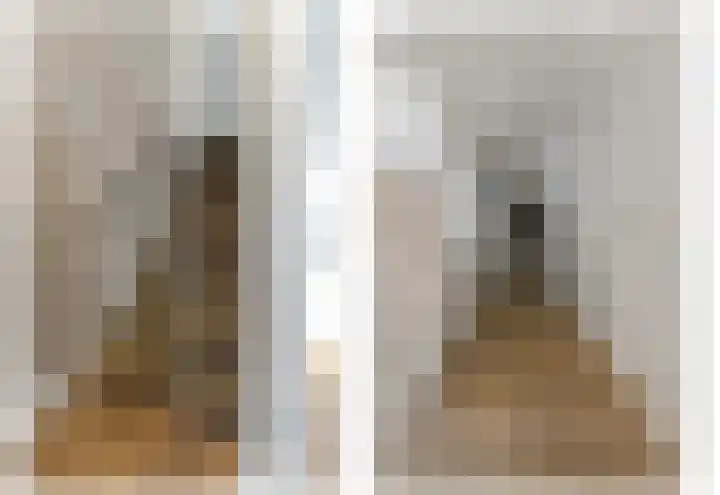 Bark 9 Schipluiden thumbnail 22