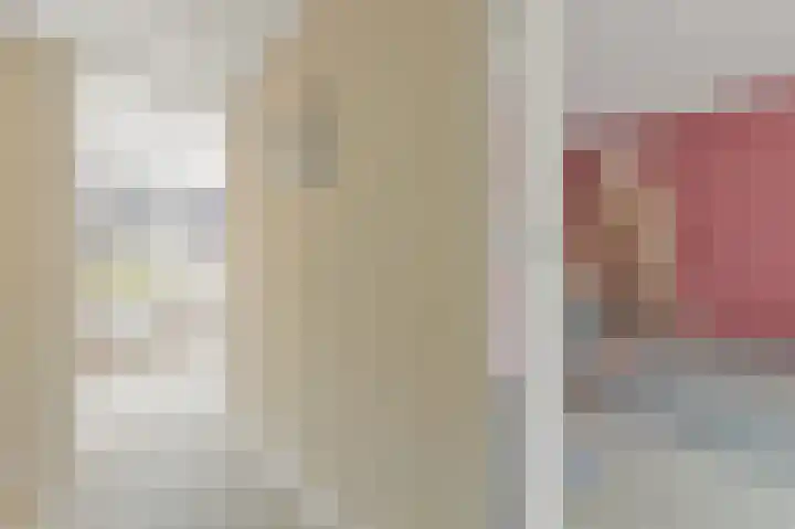 Bark 9 Schipluiden thumbnail 23