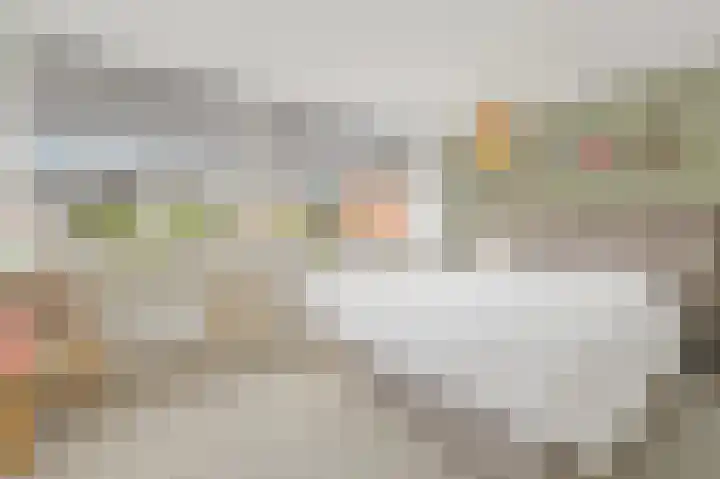 Bark 9 Schipluiden thumbnail 24