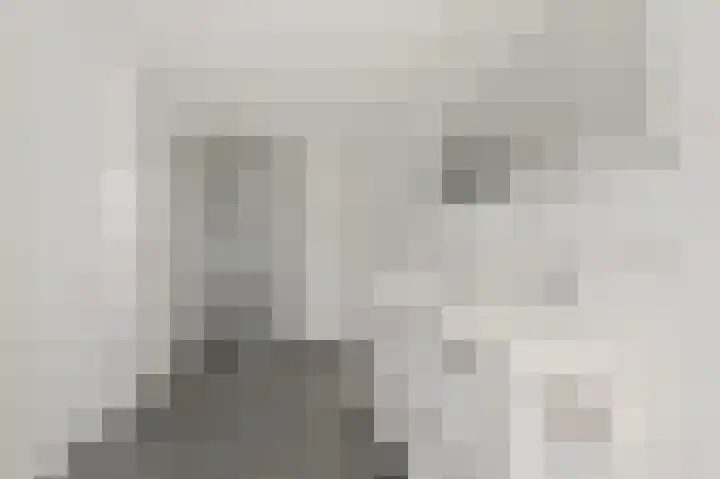 Bark 9 Schipluiden thumbnail 29