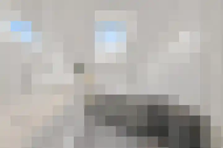 Bark 9 Schipluiden thumbnail 30
