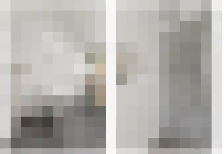 Bark 9 Schipluiden thumbnail 31
