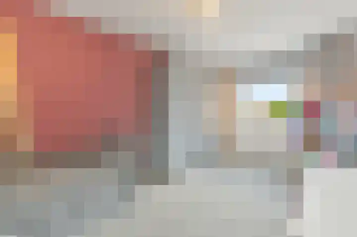 Bark 9 Schipluiden thumbnail 32