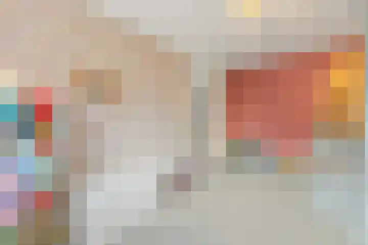 Bark 9 Schipluiden thumbnail 33