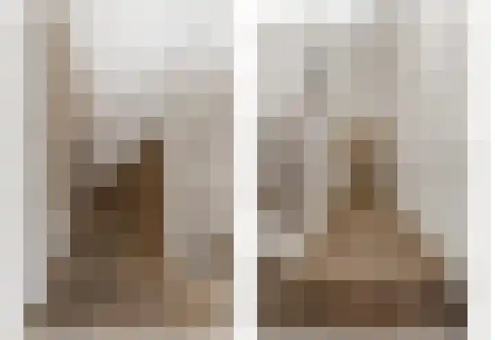 Bark 9 Schipluiden thumbnail 36