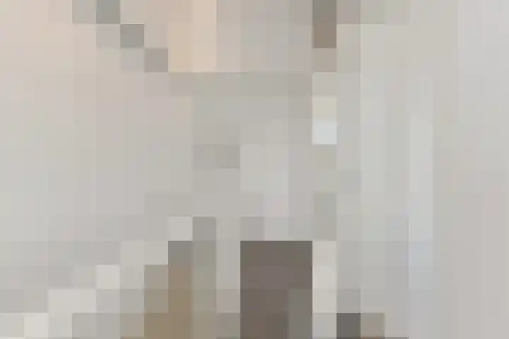 Bark 9 Schipluiden thumbnail 37