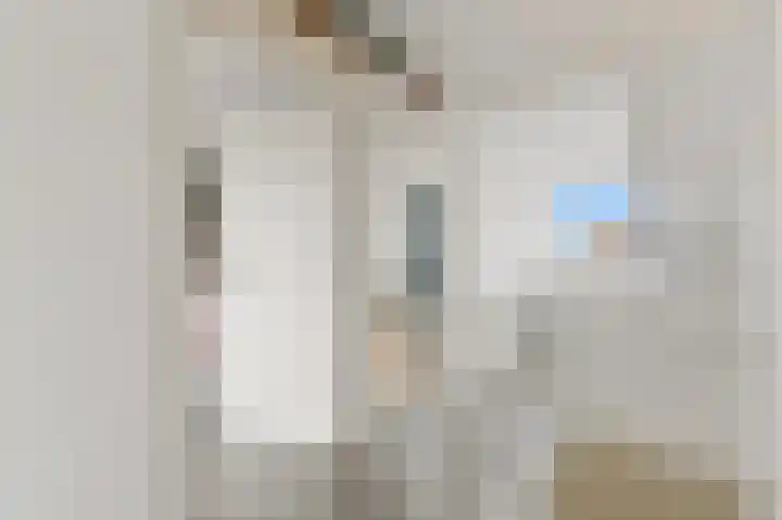 Bark 9 Schipluiden thumbnail 38
