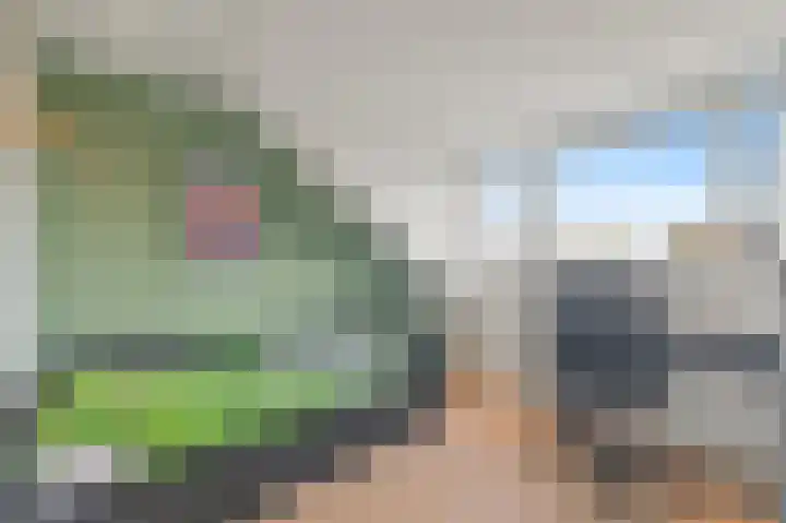 Bark 9 Schipluiden thumbnail 39