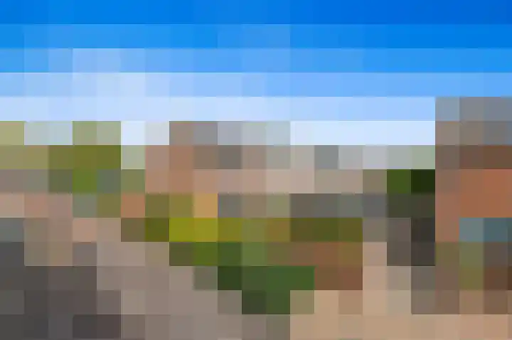 Bark 9 Schipluiden thumbnail 41