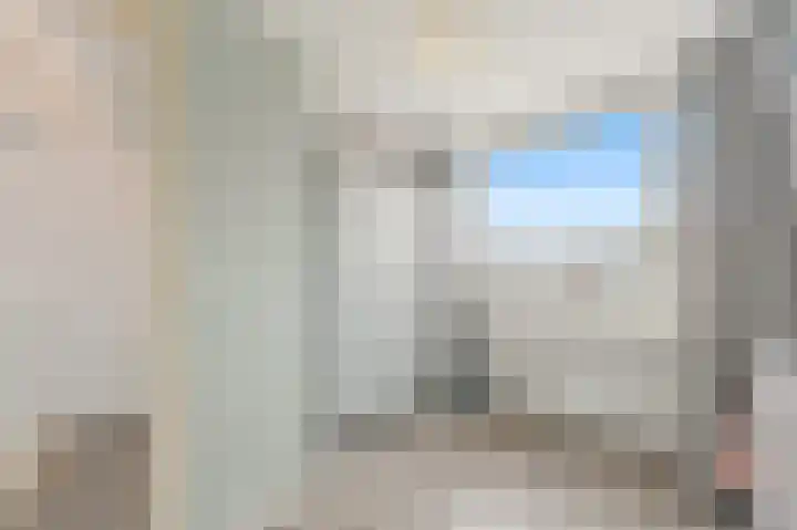Bark 9 Schipluiden thumbnail 42
