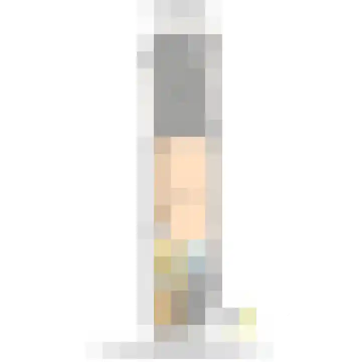 Bark 9 Schipluiden thumbnail 44