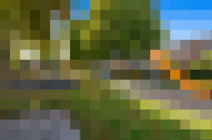 Bark 9 Schipluiden thumbnail 46