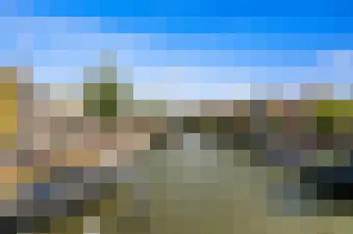 Bark 9 Schipluiden thumbnail 47