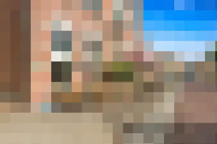 Bark 9 Schipluiden thumbnail 48