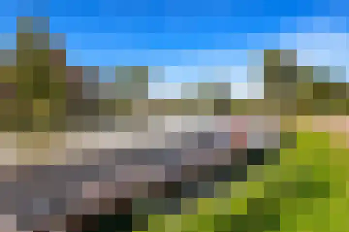 Bark 9 Schipluiden thumbnail 49
