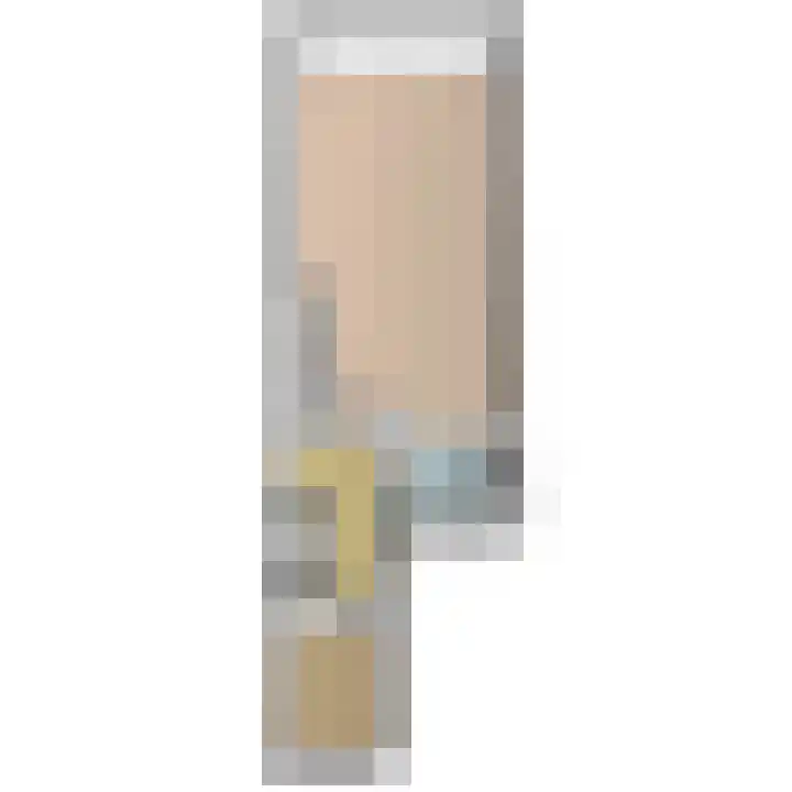 Bark 9 Schipluiden thumbnail 5