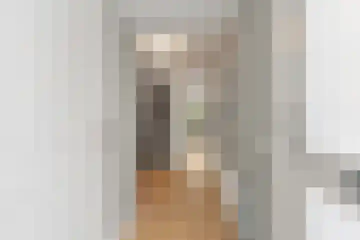 Bark 9 Schipluiden thumbnail 6