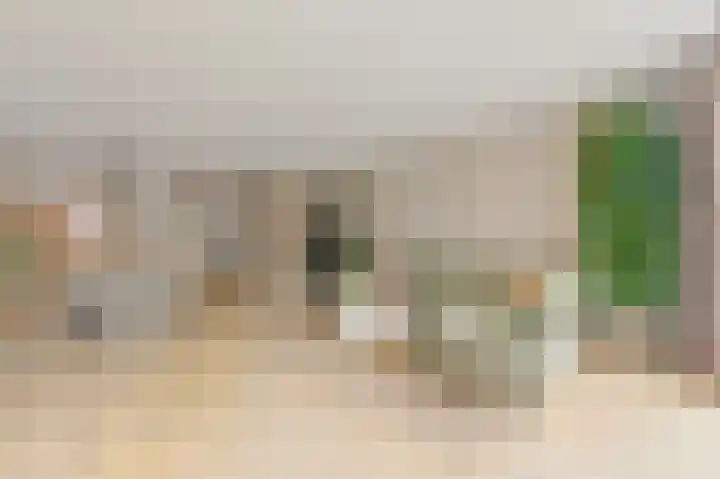 Bark 9 Schipluiden thumbnail 8