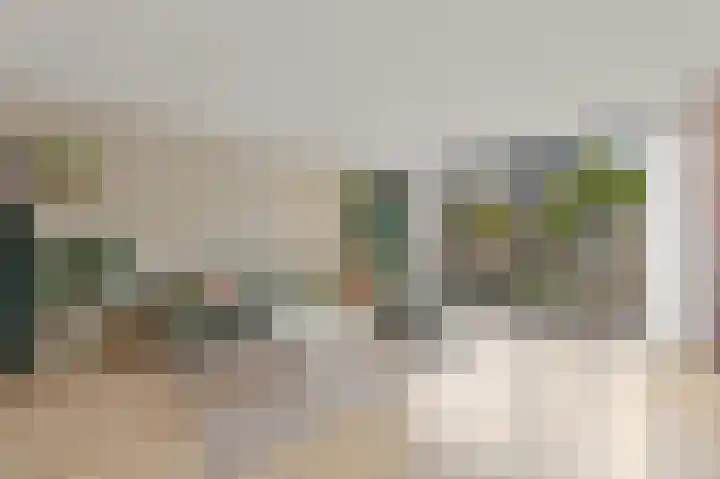 Bark 9 Schipluiden thumbnail 9