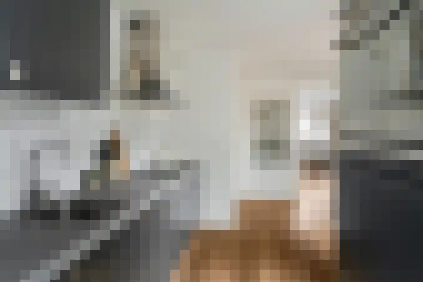 Barkas 14 Woerden thumbnail 14