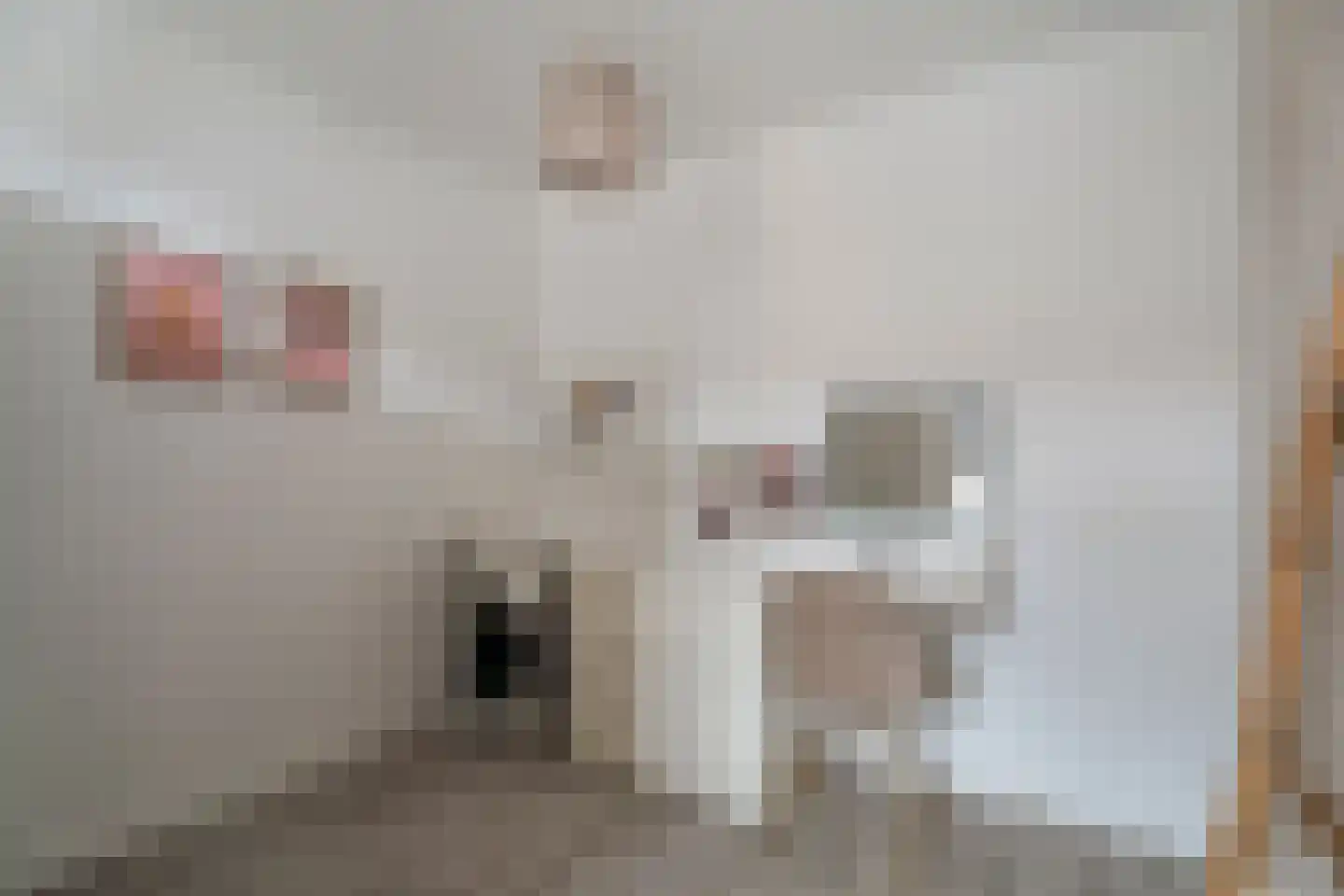 Barkas 14 Woerden thumbnail 17