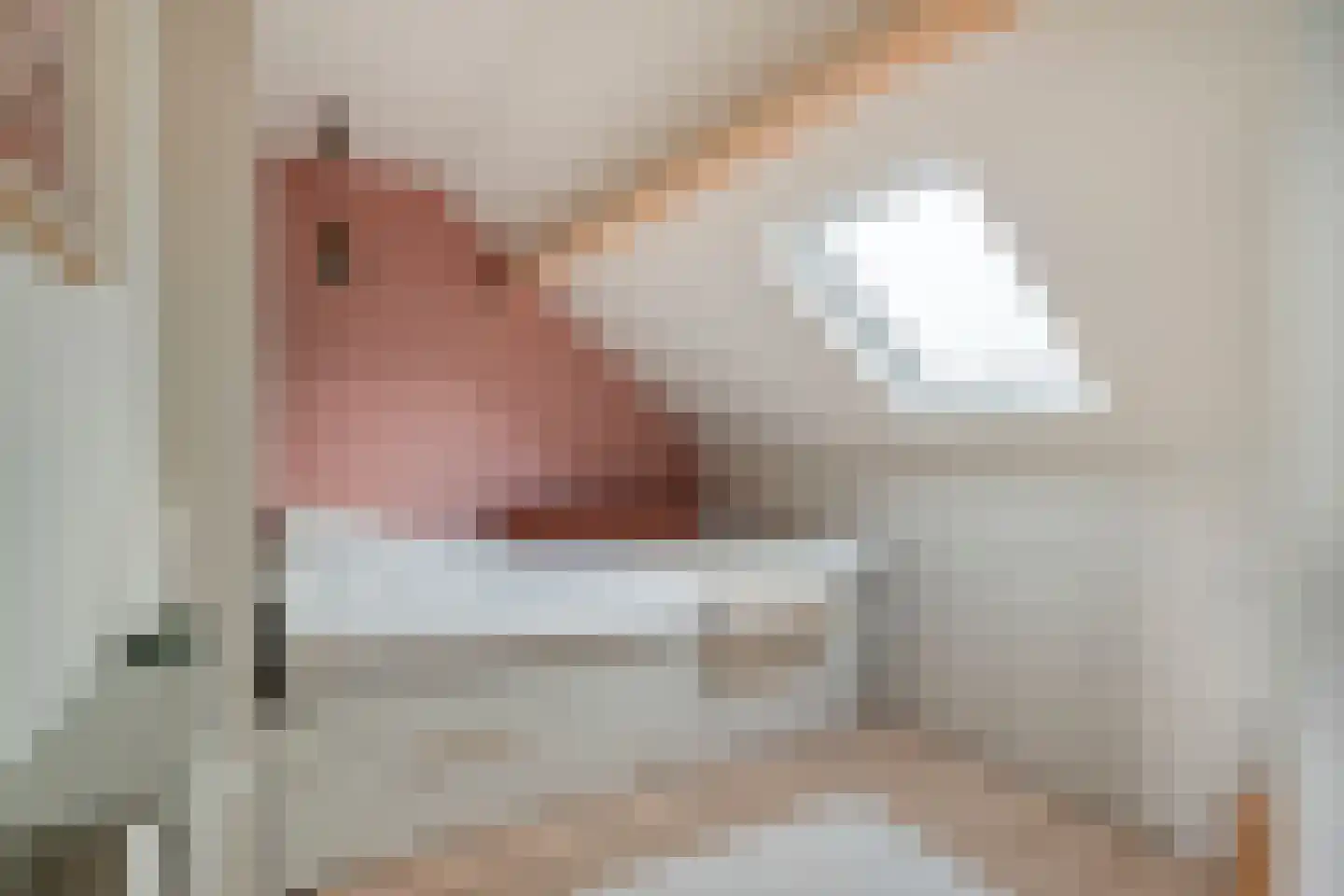 Barkas 14 Woerden thumbnail 27